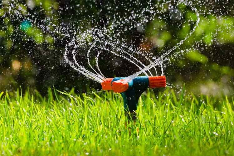 Wie eine Automatische Beregnungsanlage Ihren Garten Perfekt Pflegt